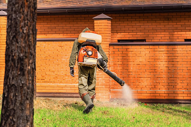 Trusted Rodent Control service in Atoka, TN - Nex Pest Control
